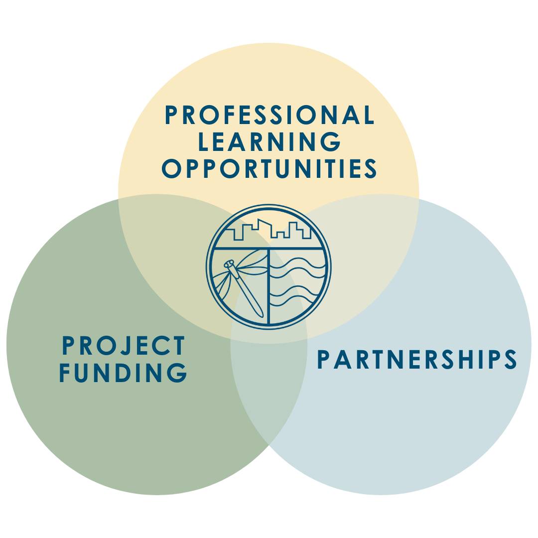 image of a three-circle venn diagram with the Groundswell logo in the middle. A yellow one says "Professional learning Opportunities", a green circle says "project funding" and a blue circle says "partnerships
